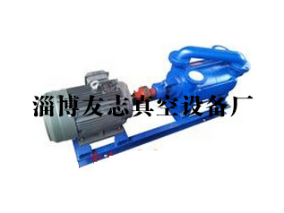 專業(yè)解析 淄博SK水環(huán)真空泵的批發(fā)價(jià)格與廠家供應(yīng)